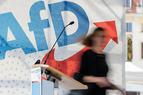 Ультраправая партия Германии (AfD) готовит экспансию в Турцию: что это значит?