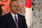 Глава МИД Турции обвинил кипрско-турецкого лидера в поддержке терроризма