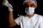 Число умерших от свиного гриппа в Турции выросло до 42 человек