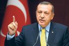 Гражданка Турции осуждена на год тюрьмы за оскорбление Эрдогана жестом