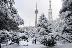 В Стамбуле вновь снегопад