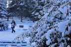 Сильный снегопад парализовал восточную часть Турции