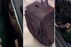В Турции 14-летний мальчик пытался покинуть страну в чемодане