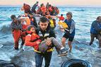Греция с начала года вернула в Турцию 608 нелегальных мигрантов