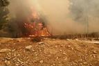 На юге Турции рядом с проектируемой АЭС «Аккую» вспыхнул лесной пожар 