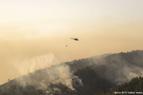 Лесной пожар в турецком Мармарисе полностью взят под контроль