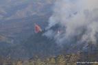 В Турции задержан подозреваемый в поджоге леса в районе Мармариса