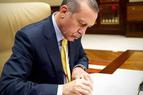 Пакет поправок к конституции Турции передан Эрдогану