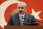 Спикер парламента Турции: Я не вижу препятствий для выдвижения кандидатуры Эрдогана