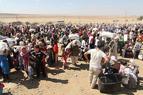 Эрдоган: Почти миллион сирийцев покинули Идлиб и направляются к границе с Турцией