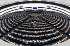 Европарламент призвал ЕС добавить турецкую ультраправую группировку в список террористических организаций