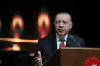 Эрдоган: Турция не планирует выводить свои силы из безопасных зон за пределами границ