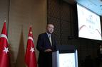 Турецкий президент обеспокоен сообщениями о наёмниках, сражающихся на стороне ЛНА