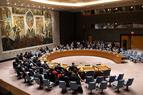 Турецкий президент вновь призвал к реформированию Совета Безопасности ООН