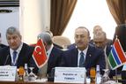 Глава МИД Турции заявил, что астанинским и сочинским процессам по Сирии нанесён ущерб