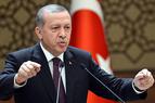 Эрдоган уверяет, что Турция не обвиняла немецкие компании в пособничестве Гюлену