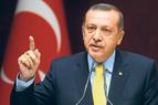 Эрдоган: Соглашение о прекращении огня не охватывает всю территорию Сирии 