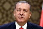 Эрдоган: диалог с РФ не должен страдать от "ошибки пилотов"