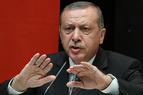 Эрдоган посоветовал ЕС не лезть не в своё дело в вопросах свободы СМИ
