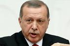 Эрдоган раскритиковал условия, выдвигаемые ЕС для отмены виз