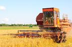 Минобороны: Турция продолжает реализовывать инициативы по возобновлению зерновой сделки