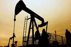 Ирак сообщил о прогрессе в переговорах по возобновлению экспорта нефти через Турцию