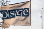 Турция и Греция выдвинули общих кандидатов на должности в ОБСЕ