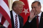 Эрдоган пригласил Трампа посетить с визитом Турцию