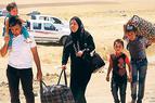 Турция призывает туркмен немедленно покинуть Ирак