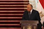 Глава МИД Египта на неделе может посетить Анкару и обсудить назначение послов