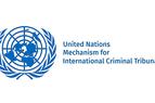 Судебная структура ООН обратилась в СБ ООН для освобождения турецкого судьи