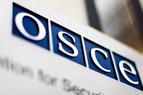 Турция возглавит форум ОБСЕ по сотрудничеству в области безопасности