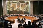 СБ ООН проведет инициированные Россией консультации по турецко-сирийскому вопросу