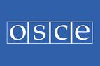 ОБСЕ призвала Интерпол тщательнее рассматривать «красные циркуляры» из Турции