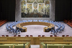 СБ ООН выразил обеспокоенность в связи с проводимой там военной операцией Турции