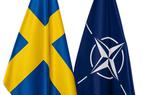 Эрдоган вновь заявил, что Турция не станет одобрять членство Швеции в НАТО