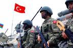 Турция и Азербайджан проведут совместные военные учения