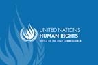 Представитель ООН: В Турции используются «жестокие методы допросов»