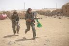 Пентагон: Курдские группировки никак не угрожают Турции