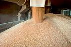 МО Турции заявило о продолжении контактов с участниками зерновой сделки для ее продления