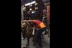 Фанаты «Галатасарая» украли статую льва