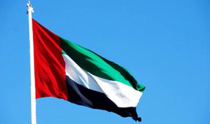 В Турции арестованы лица, работавшие на разведку ОАЭ и собиравшие данные о чиновниках