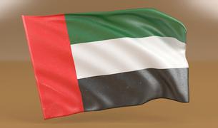 Анкара опровергла сообщения о причастности ОАЭ к шпионской деятельности в Турции