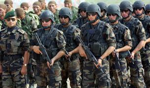 Минобороны: Турция поддержит Дамаск при действиях против СДС