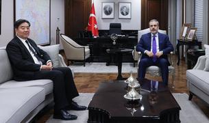 Спецпосланник КНР и глава МИД Турции выступили за прекращение огня в Газе