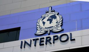 В Турции задержаны 56 разыскиваемых Интерполом лиц, в том числе по заявкам РФ