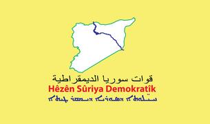 SDF: Исполнительница теракта в Стамбуле принадлежит к семье сторонников ИГ