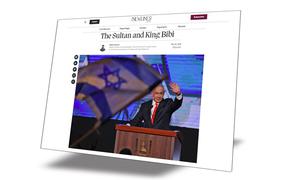 Newlines Magazine: Султан и король Биби