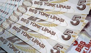 На фоне замедления темпов инфляции турецкая лира выросла до двухнедельного максимума