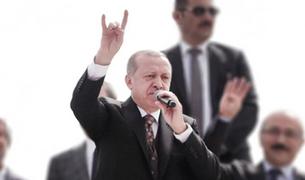 Эрдоган на митинге показал символ тюркских националистов «серых волков»